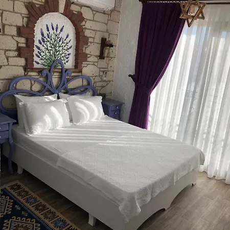 Volta Butik מלון